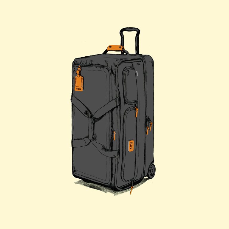 ideal bag for super organized travelers