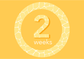 what is 2 weeks from today
